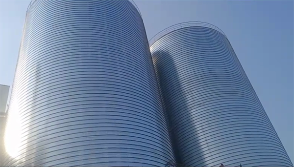 宽甸2座混凝土高架卷板仓